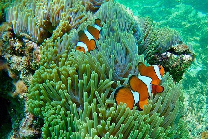 Amazing Krabi 7 Islands One Day Snorkeling Tour By Big Longtail Boat - Customer Reviews and Feedback