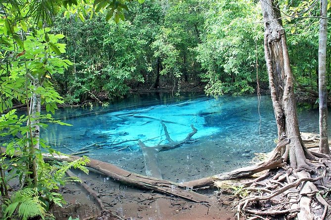Amazing Krabi Private 1 Day Tour From Phuket by VAN - Accessibility Information