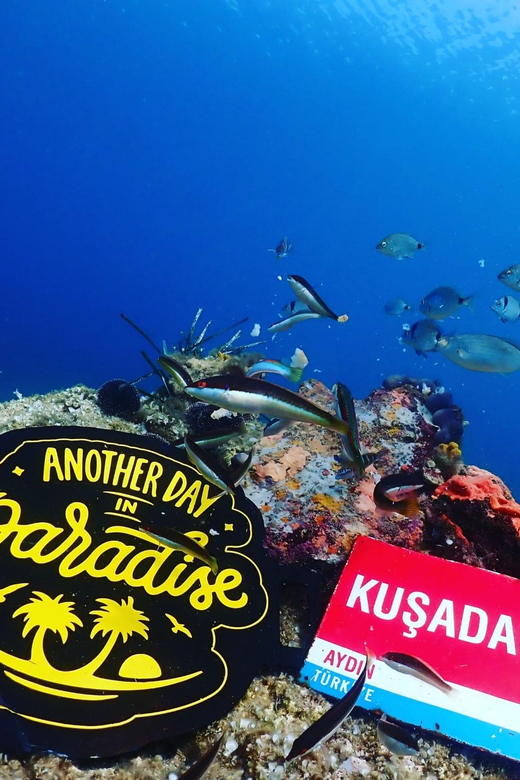 AMAZING KUSADASI SCUBA DIVING - Diving Experience