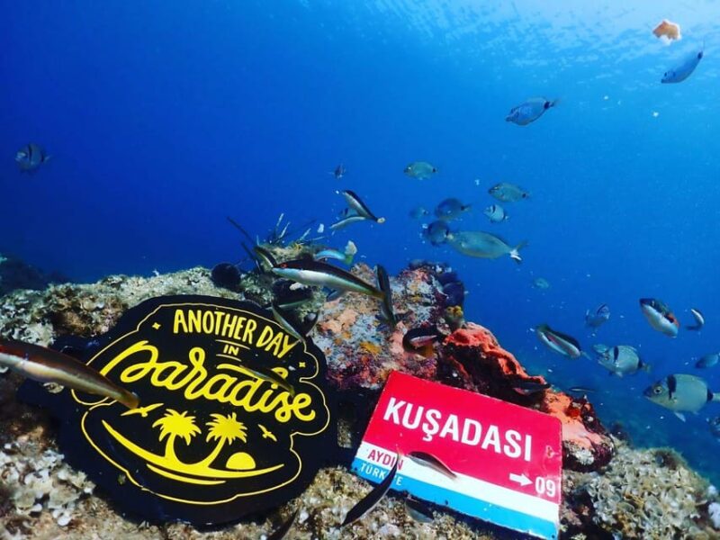 AMAZING KUSADASI SCUBA DIVING - Itinerary and Activities