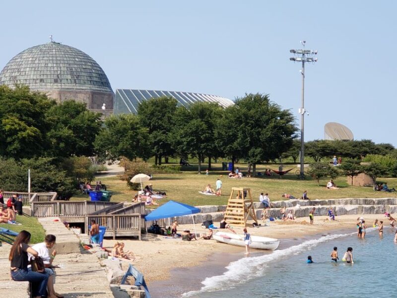 Amazing Lakefront Segway Tour of Chicago - Customer Feedback and Ratings