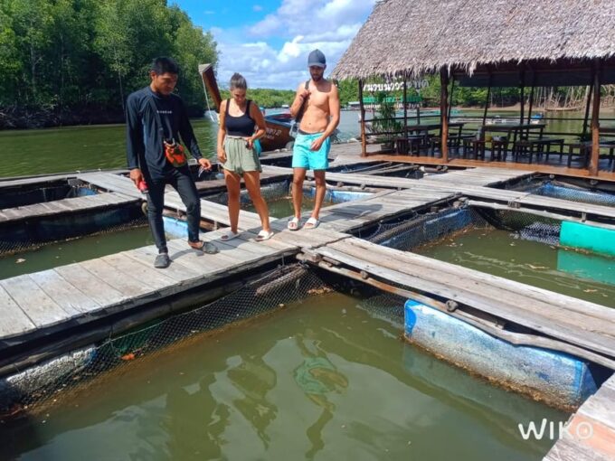 Amazing Mangrove Boat Trip With Lunch - Getting to the Starting Point