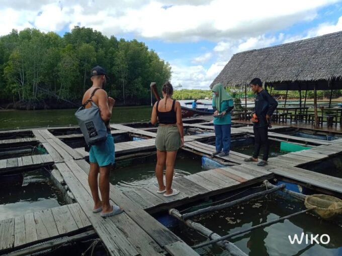 Amazing Mangrove Boat Trip With Lunch - Mangrove Community and Ecology