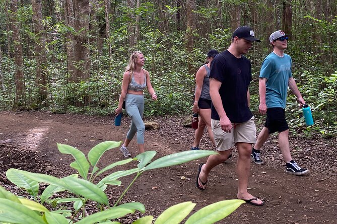 Amazing Maui Ridge Hike - Trail Highlights and Scenery