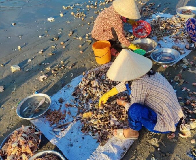 Amazing Mui Ne Sand Dunes - Beach Private Day - Landmarks in Phan Thiet