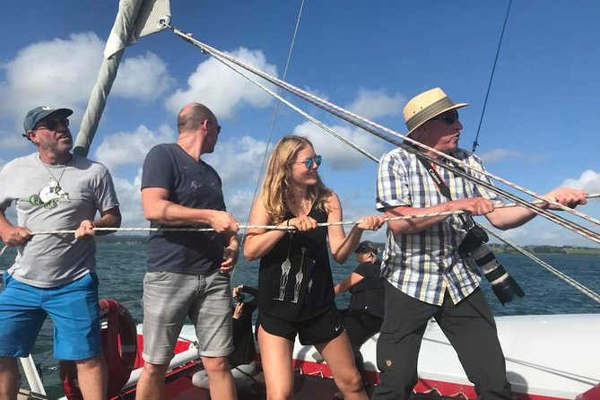 Amazing New Zealand Itineraries & Chauffeur-Driven Tours - Pickup and Accessibility