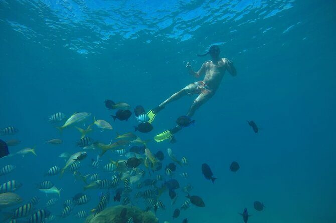 Amazing Paradise Island + Snorkeling-Mangrove Tour & Locale Food. - Final Thoughts