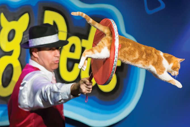 Amazing Pets Show in Branson - Location and Accessibility