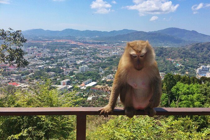 Amazing Phuket Sunset: Promthep Cape, Monkey Hill, Chillva Market - The Experience: What to Expect