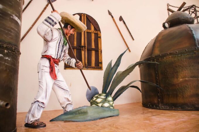 Amazing Playa Del Carmen Great Shopping Tour - Customer Reviews