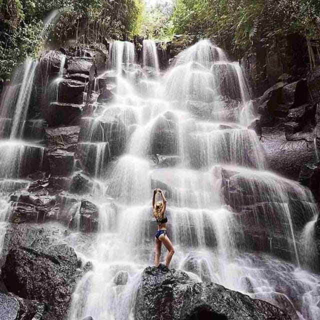 Amazing Private Full Day Ubud Tours - Key Points