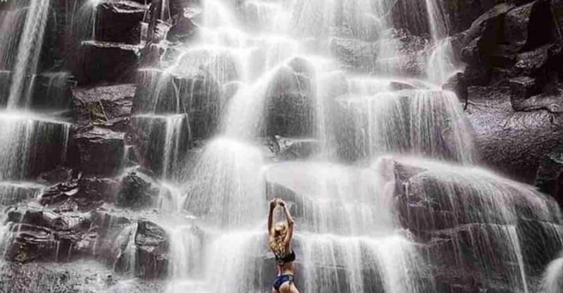 Amazing Private Full Day Ubud Tours - Tour Experience and Itinerary