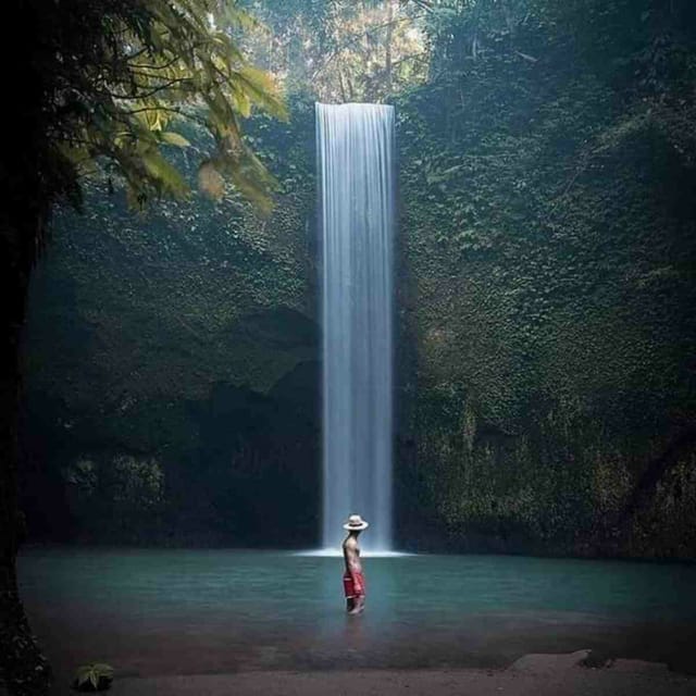 Amazing Private Full Day Ubud Tours - Inclusions and Exclusions