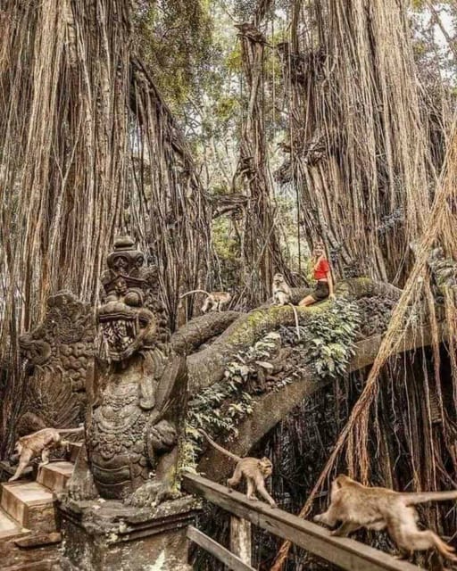 Amazing Private Full Day Ubud Tours - Immerse in Ubuds Waterfalls and Scenery