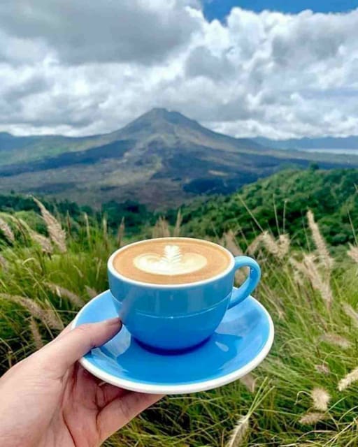 Amazing Private Full Day Ubud Tours - Frequently Asked Questions