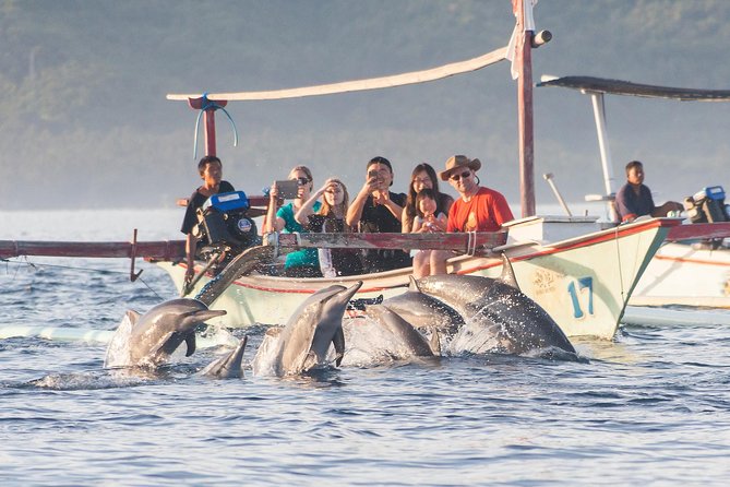 Amazing Private Tours: Dolphins Lovina and Gitgit Waterfall Include Lunch - Promoted Tours and Experiences