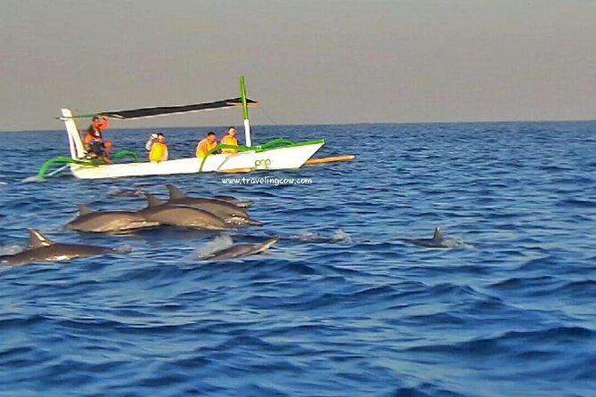 Amazing Private Tours: Dolphins Lovina and Gitgit Waterfall Include Lunch - Sunrise Views and Nature Appreciation