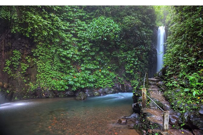 Amazing Private Tours: Dolphins Lovina and Gitgit Waterfall Include Lunch - Spa and Relaxation Services