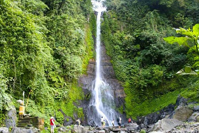 Amazing Private Tours: Dolphins Lovina and Gitgit Waterfall Include Lunch - Itinerary and Highlights