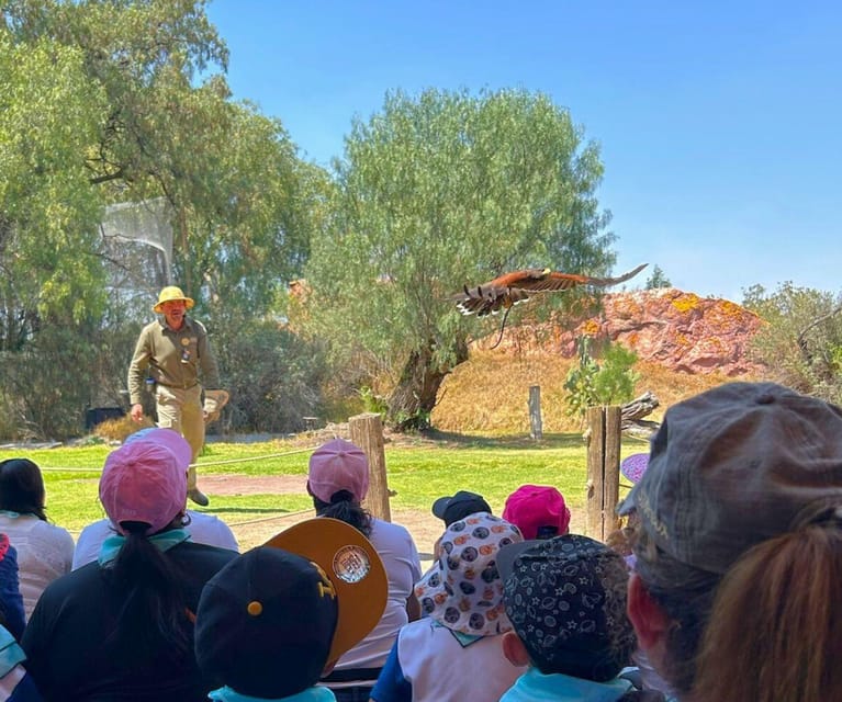 Amazing Safari at Teotihuacán - Wildlife Experience