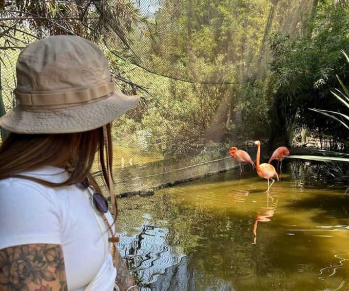 Amazing Safari at Teotihuacán - Booking and Cancellation
