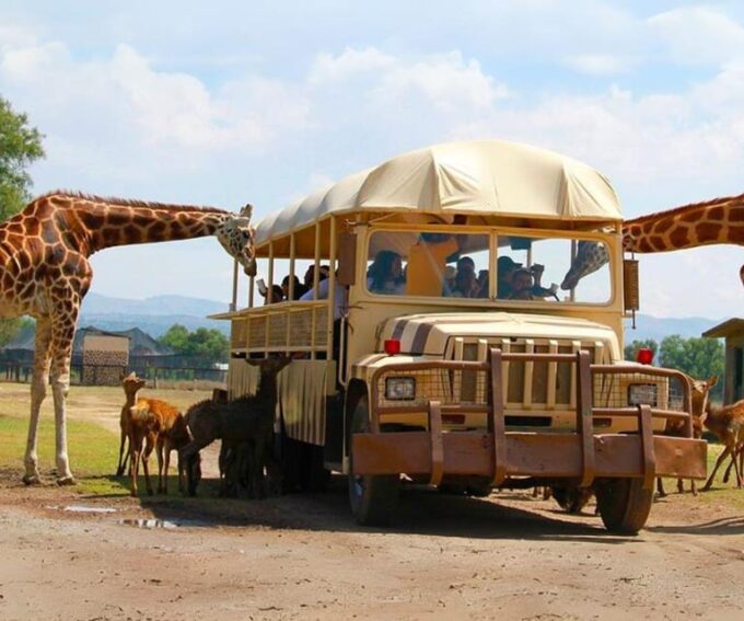 Amazing Safari at Teotihuacán - Frequently Asked Questions