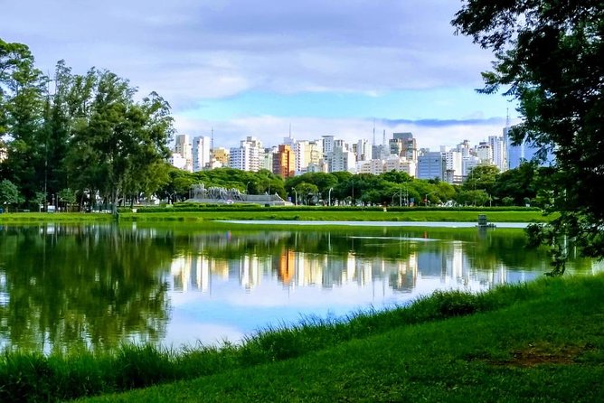 Amazing São Paulo Overview in 4 or 5 Hours With a Private Guide - Inclusions and Costs