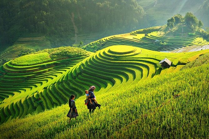 Amazing Sapa: Fansipan Legend Cable Car & Sapa Trekking - All Inclusive 1 Day - Tour Overview