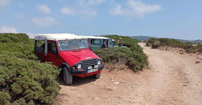 Amazing Sintra Tour - Experience Highlights