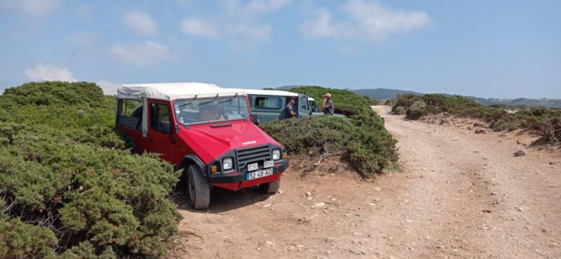 Amazing Sintra Tour - Participant Restrictions