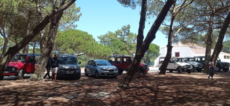 Amazing Sintra Tour - Coastal Exploration