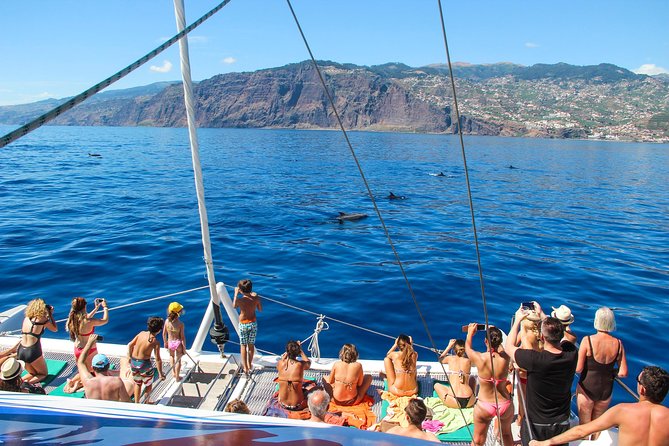 Amazing Skywalk, Wine Tasting & 4x4 Adventure + Dolphin Watching - Inclusions and Exclusions