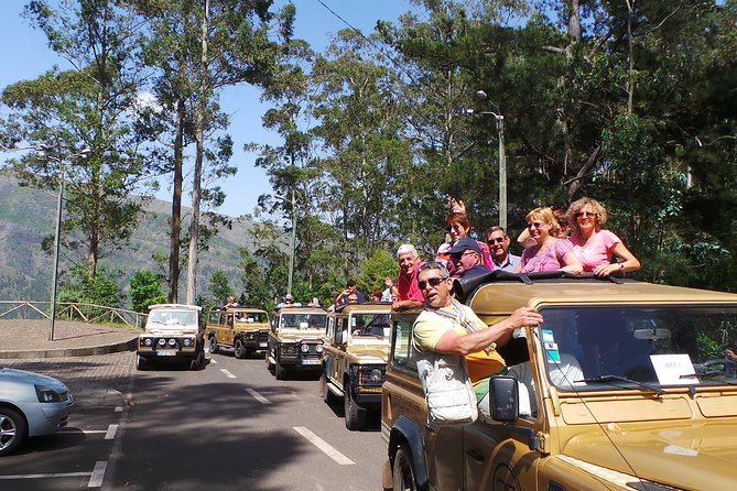 Amazing Skywalk, Wine Tasting & 4x4 Adventure + Dolphin Watching - Observing Wolf Seals