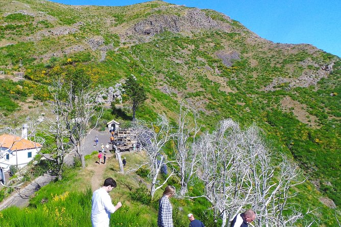 Amazing Skywalk, Wine Tasting & 4x4 Adventure + Dolphin Watching - Additional Information