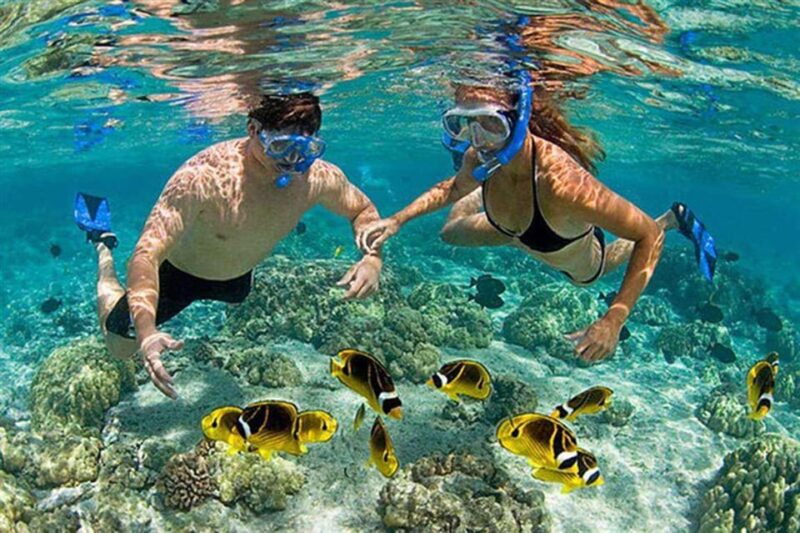 Amazing Snorkeling at Cham Island - Inclusions and Exclusions