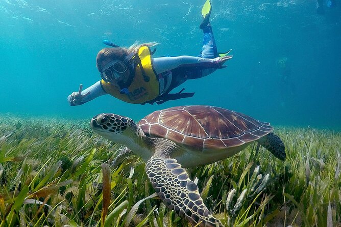 Amazing Snorkeling Experience in Cancun - Meeting and Pickup Details