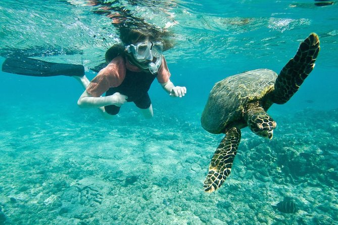 Amazing Snorkeling Experience in Cancun - Participant Requirements