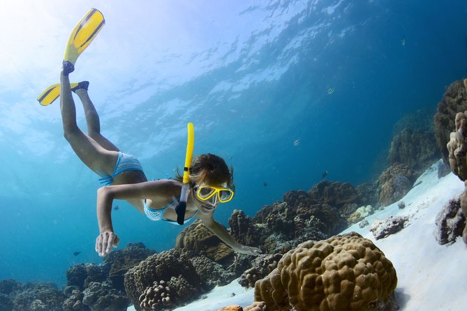 Amazing Snorkeling Experience in Cancun - Booking Information