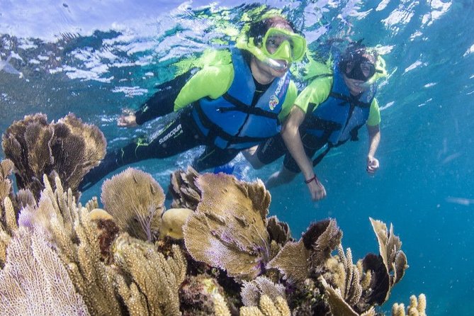 Amazing Snorkeling Experience in Cancun - Frequently Asked Questions