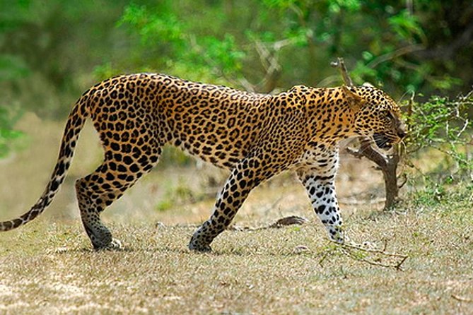 Amazing Sri Lanka ( 6N/ 7D) - Booking and Cancellation