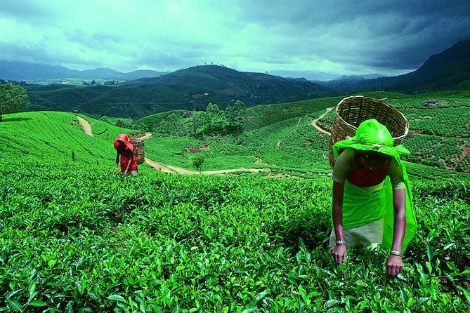 Amazing Sri Lanka ( 6N/ 7D) - Additional Information
