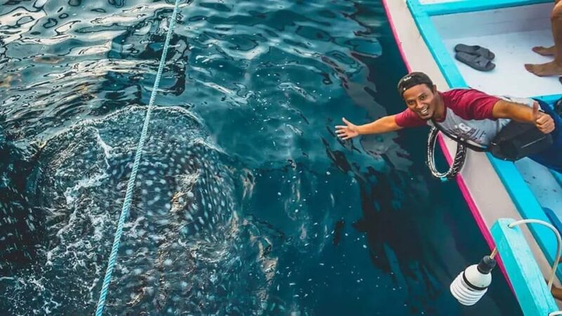 AMAZING SUMBAWA WHALE SHARK TOUR - Snorkeling Time