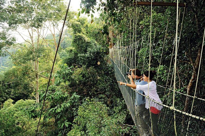Amazing Taman Negara Day Trip From Kuala Lumpur Including Lunch - Itinerary and Activities