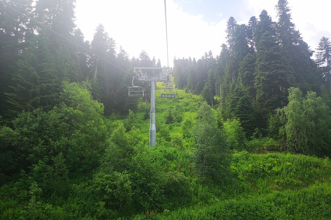 Amazing Trip to Svaneti - 7 Days for 1-4 Person - Pricing and Costs
