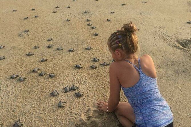 Amazing Turtle Release Tour - Booking and Additional Information