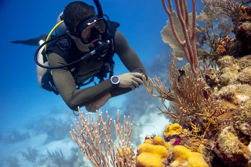 Amazing Two Tank Reef Diving - Itinerary