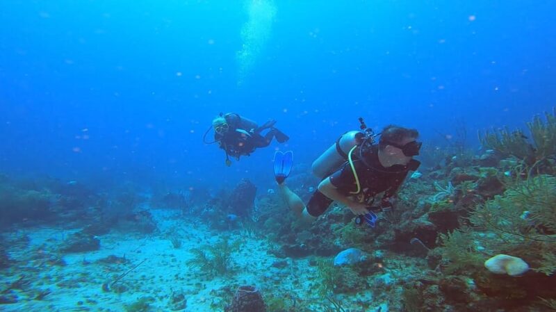 Amazing Two Tank Reef Diving - Inclusions