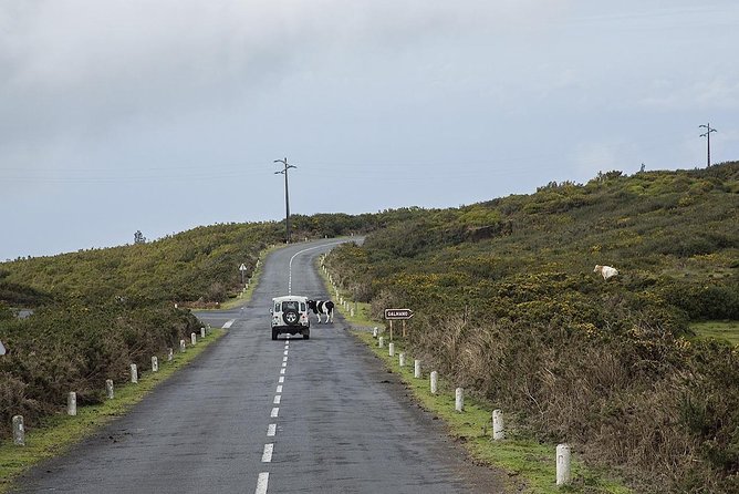 Amazing West - Jeep Safari Tour - Full Day - Weather and Group Size