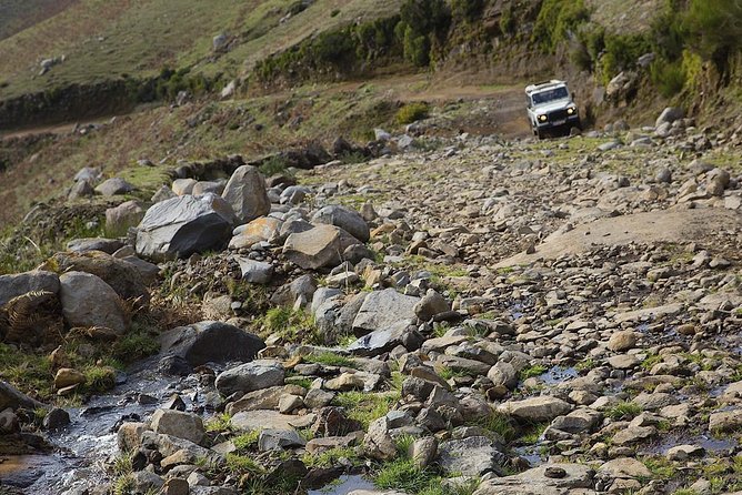 Amazing West - Jeep Safari Tour - Full Day - Laurisilve Forest Exploration