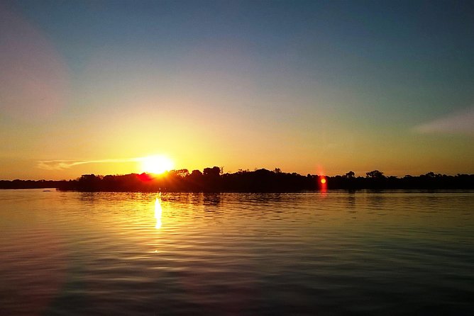 Amazon and Negro Rivers Experience With Night Exploration Tour - Inclusions and Pricing
